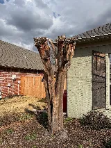 Broke Boy Lawn Care photo 7