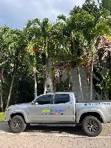 Best Florida Pest Control photo 4