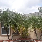 LawnStarter - Kansas City Landscaping photo 8