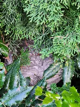 Crosstown Pest Control photo 6