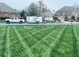 Good N' Green