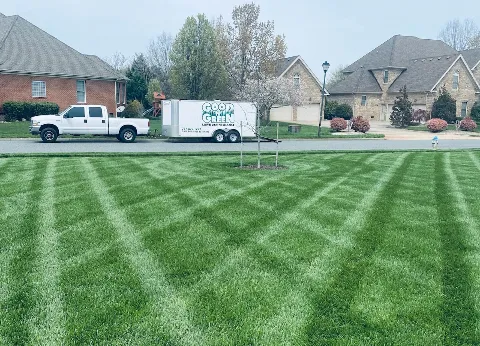 Good N' Green photo 1