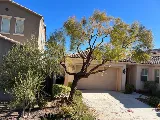 Ugarte Landscapes & Irrigation Repair photo 8