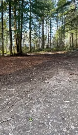Danshap Landscaping and Excavation inc. photo 7