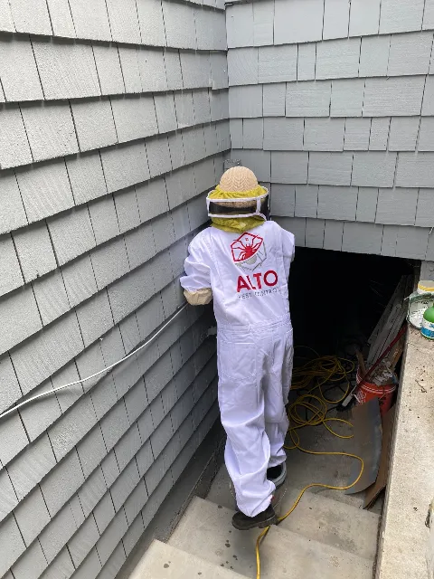 Alto Pest Control photo 1