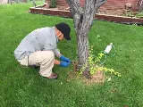 Legacy Pest Control photo 7