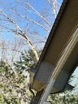 Fenix Pest Control, Inc. photo 5