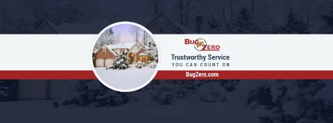 Bug Zero photo 1