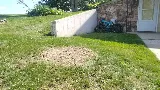 Braun's All-Year Landscaping LLC photo 4