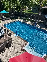 Olympic Pool & Spa photo 3