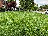 Must Lawn & Landscape LLC photo 2