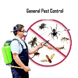 AR Pest Control Milton photo 7