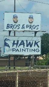 Hawk Painting photo 2