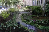 TLC Landscape photo 5