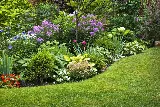 Jersey City Landscapers photo 4