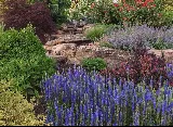 Frisella Landscape Group photo 5
