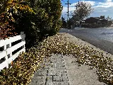 Green Salt Lake Landscaping photo 5