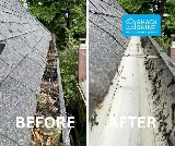 SHACK SHINE Nanaimo photo 7