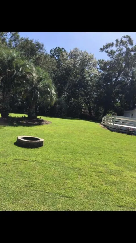 Thorn Lawn & Sod Contractors, LLC. in North Charleston