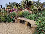 Organic Greens Landscapes & Maintenance photo 3