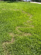 PURCOR Pest Solutions photo 7