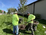 Green View photo 2