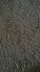 Calabro Floor Covering as Yeselavage Rug photo 7