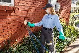 HomeTeam Pest Defense photo 3