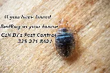 DJ's Pest Control photo 4