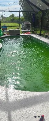 Triple M Pool Service and Repair LLC photo 5