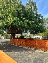 EM Landscape & Design Inc. photo 4