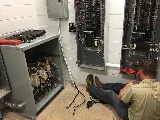Amp Electric photo 3