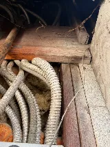 Suncoast Pest Management photo 2