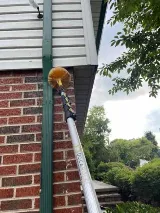 Bulwark Exterminating photo 5