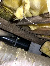 JNS Pest Control photo 7