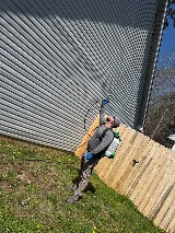 Colonial Pest Control photo 4