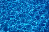 Gecko Pool and Spa