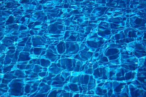 Gecko Pool and Spa photo 1