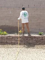 NEWMANS PEST CONTROL photo 3