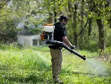 D-Bug Pest Control, Inc. photo 3