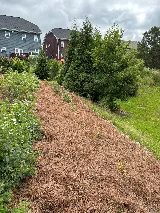 Nature First Landscaping photo 2