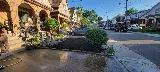 Grazie Landscaping photo 3