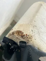 X Out Pest Services photo 5