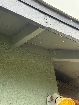 Preventive Pest Control photo 6