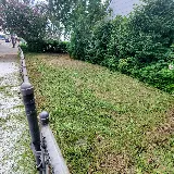 McIntosh Mowing photo 5