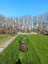 Richard´s Landscaping Maintenance LLC