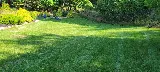 Landscape company photo 4