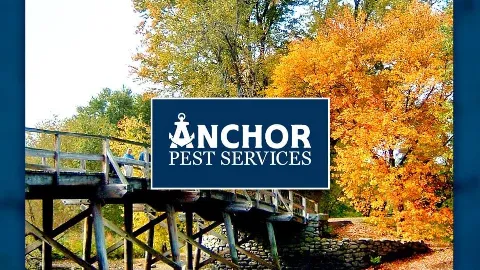 Anchor Pest Services in Manchester