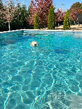 Premium Pool Service photo 6