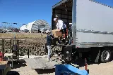 Tiger Moving photo 7